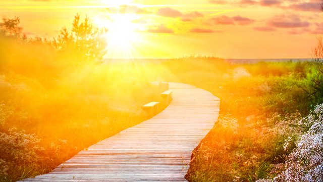 New self-service concepts promise a bright future for the New self-service concepts promise a bright future for the