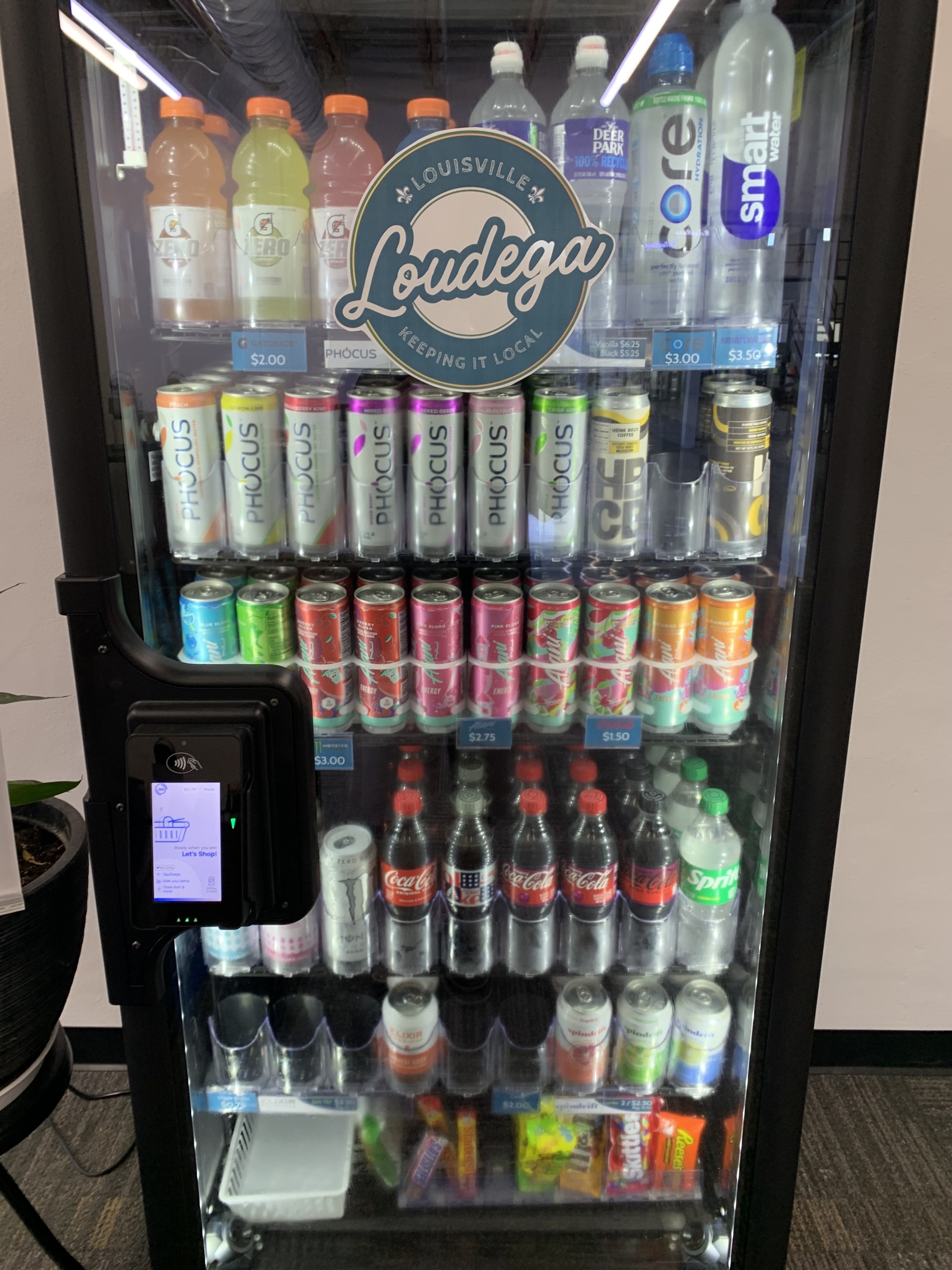 Loudega smart cooler
