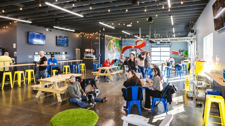 Unleashed and on tap: Crate Escapes redefines dog parks with self-serve ... - Water-Cheq Green Lightweight Self-Standing Dog Crate