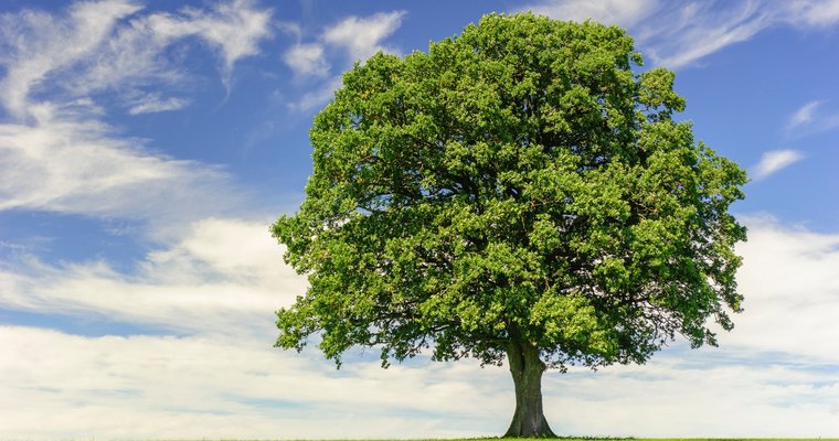 Why we need a different kind of ‘maturity’ in the church