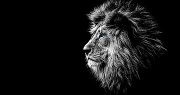 The roar and the whisper: hearing God's voice