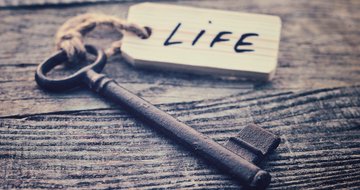 The brevity and uncertainty of life