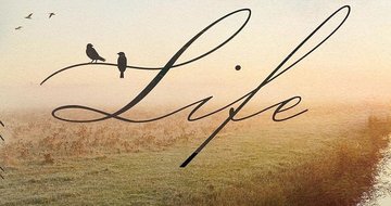 Book review: A Non-Anxious Life
