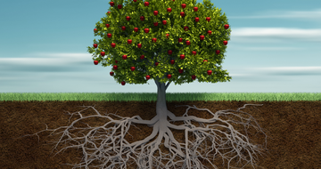 The essentials for staying fresh: roots, rhythm, and relationships