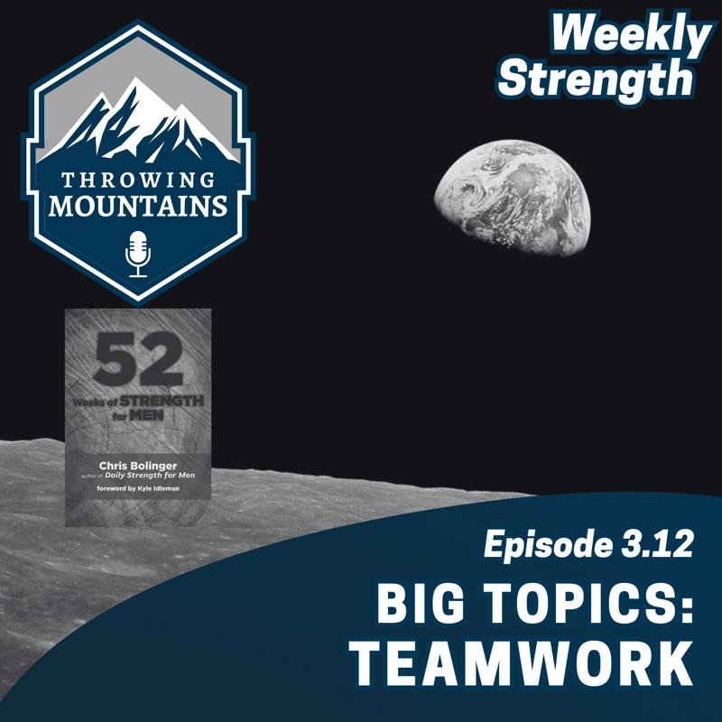 What makes teams work?