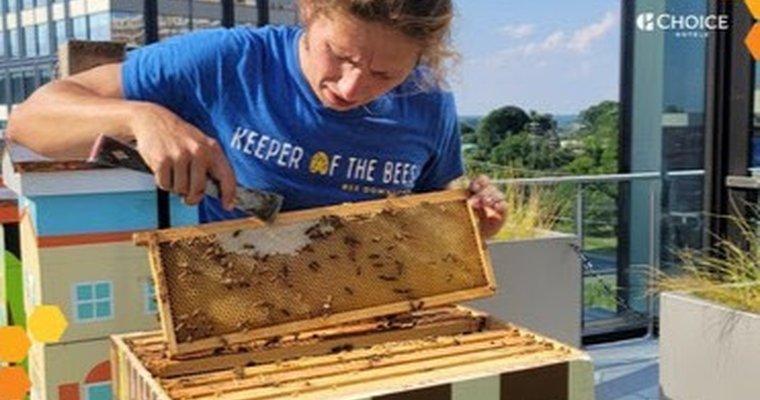 Choice Hotels all a buzz in driving sustainability
