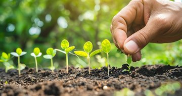 Unlearning scarcity: How to grow by letting go of limitations