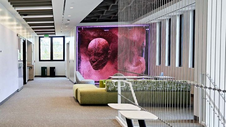 Atlanta school deploys LED video wall