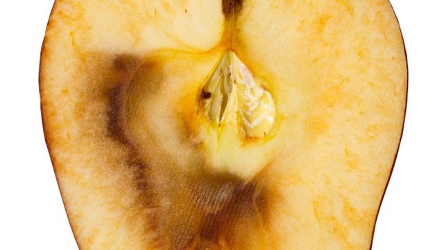 picture perfect gmo fruit can reduce food waste fast casual picture perfect gmo fruit can reduce food waste