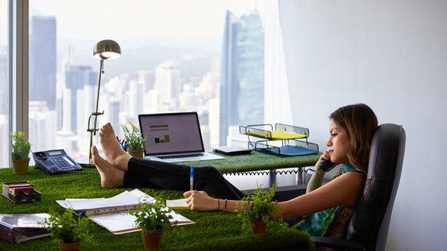 Going green: Five office design trends to watch this year