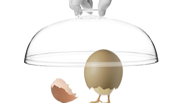 Part One: A new restaurant sector pokes its way out of the shell in California