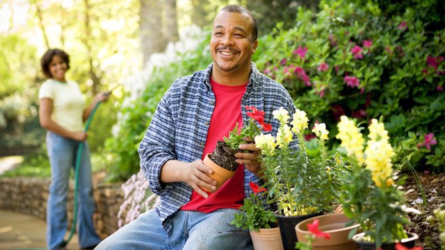 3 Simple Ways You Can Improve the Appearance of Your Yard