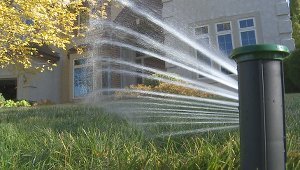 Smart sprinklers grow green grass and save water
