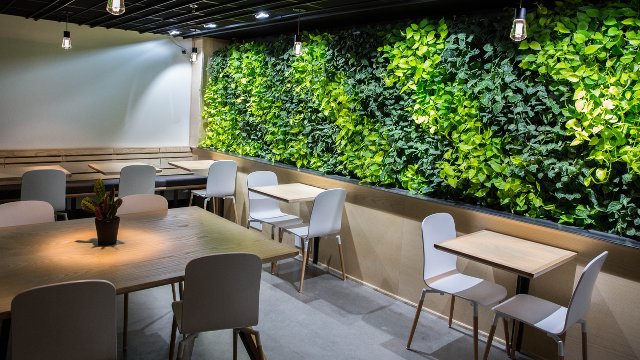 Video | Indoor living wall livens up coffee café