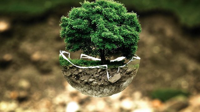 Building Green Habits: 5 Tips For Teaching Your Kids To Save Energy At Home