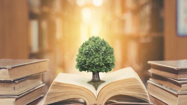 Colleges, universities providing lessons on green, sustainable building