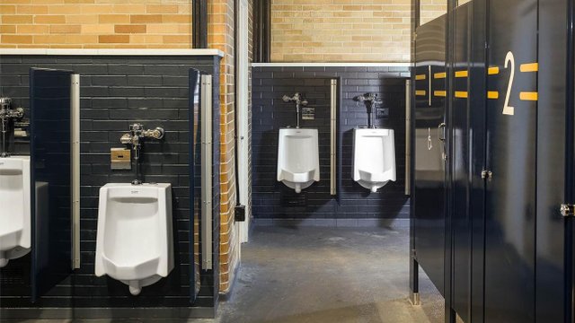 Notre Dame renovations focus on saving water