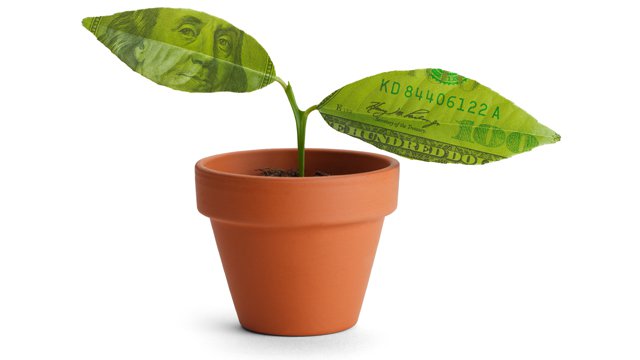 'No signs of slowing': The seemingly unstoppable growth of cash