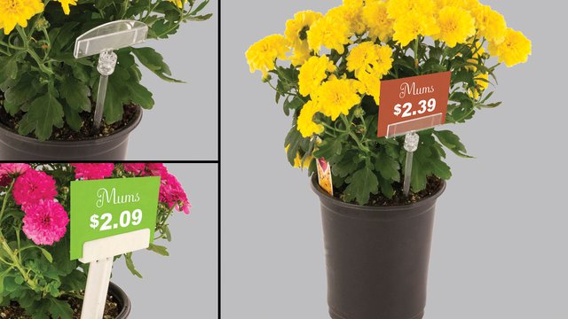 Add Signs to Floral and Plant Displays with New Pin Stick Sign Holder