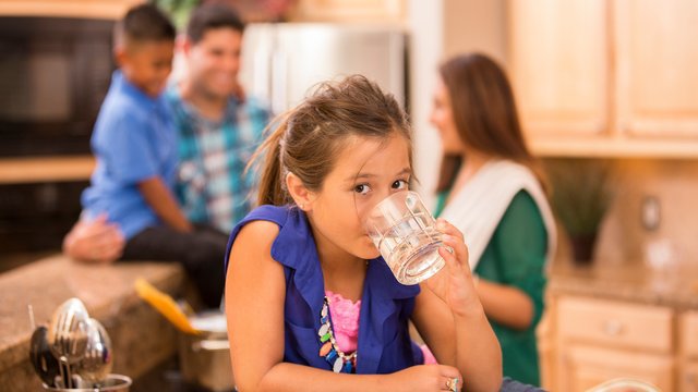 Do You Know Your Water Filter Basics?
