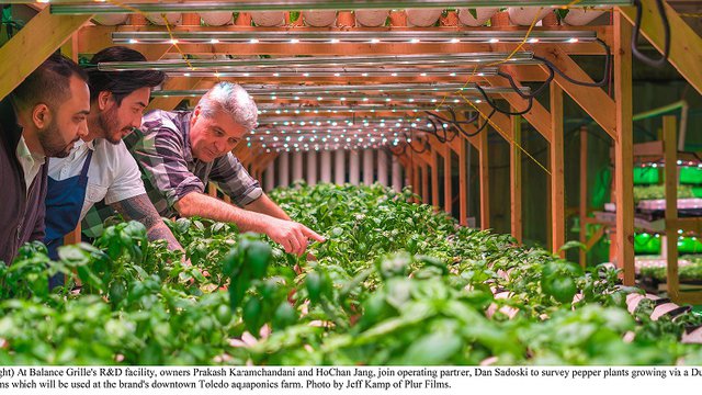 Balance Grille hopes to tip scales in brand's favor with downtown Toledo aquaponics farm