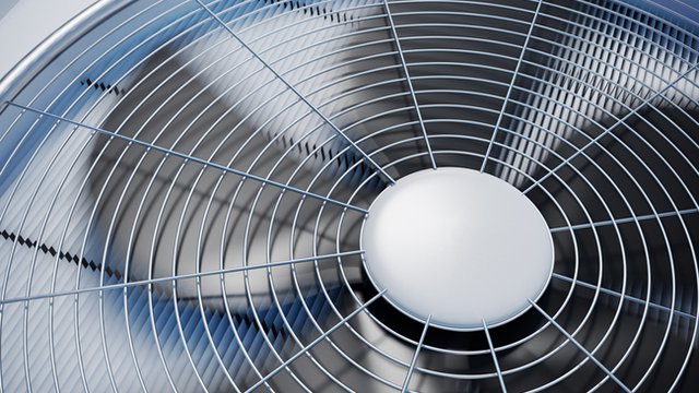 Summer sustainability