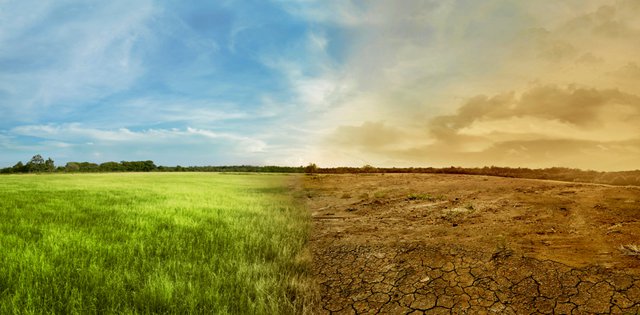 How to save money, protect environment during drought