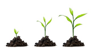 3 guides to QSR growth in 2019