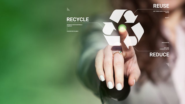 Study: Sustainability a top priority for Millennial workers