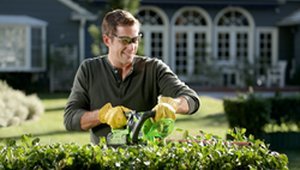 Low-cost Landscaping Can Boost Home Values