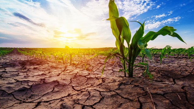 Infographic: Comparing U.S. daily water use to parched Cape Town