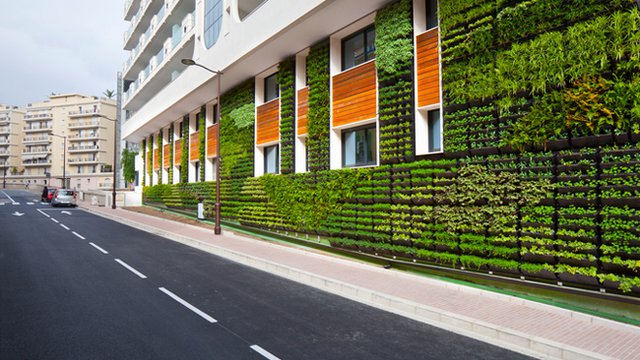 Vertical gardens greening European cities