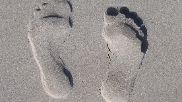 4 Eco-Friendly Tactics to Limit Your Home’s Carbon Footprint