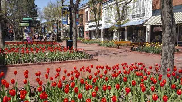 Where Does Your City Rank on the Top 25 Happiest Cities List?