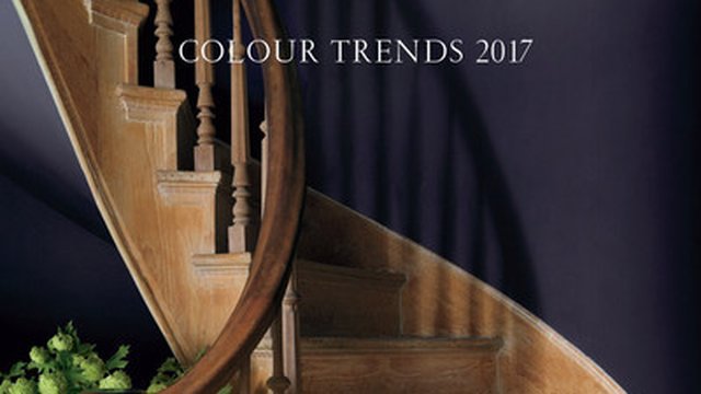 'Shadow' Named 2017 Color of the Year