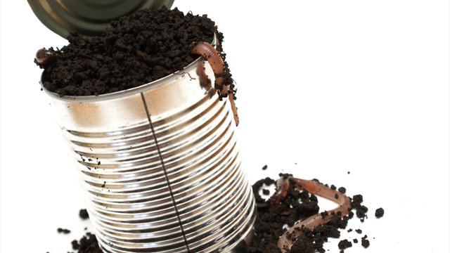 SEC investigation of The Dao opens a can of worms for ICOs