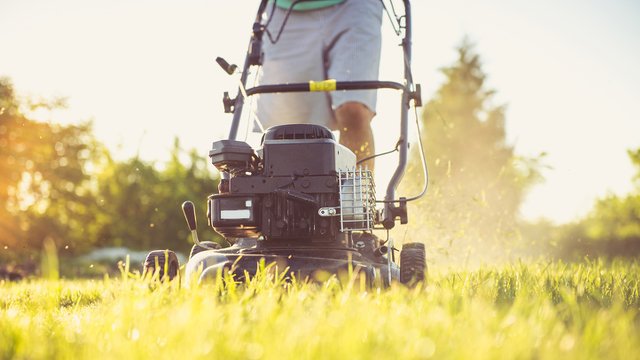 Tips for making the most of the living landscape at your new home