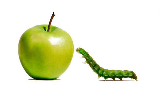 The weak link in Apple Pay's security chain