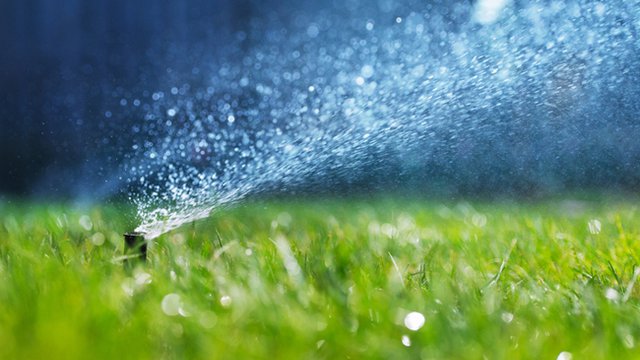12 tips for making properties more water efficient