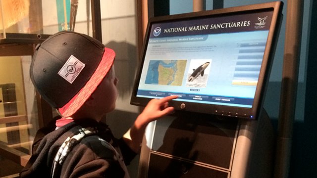 Science center kiosks teach users about ocean conservation
