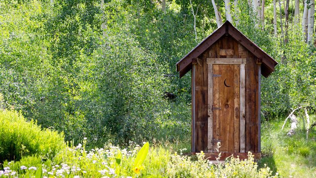 What does your old toilet say about you?