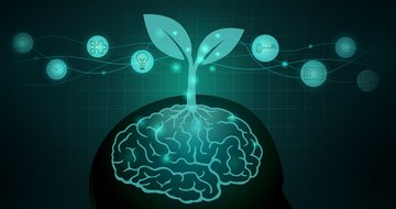 3 simple brain boosts for leaders