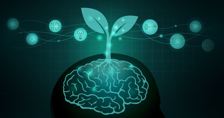 3 simple brain boosts for leaders