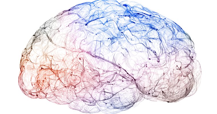 Generosity and the brain