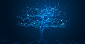 5 ways to develop as a leader at work