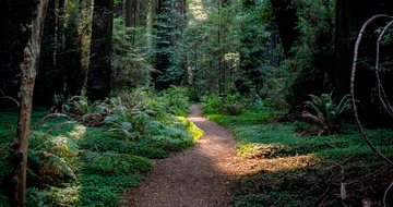 3 leadership shortcuts to avoid
