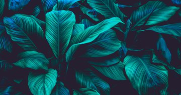 Responding to the different seasons of growth