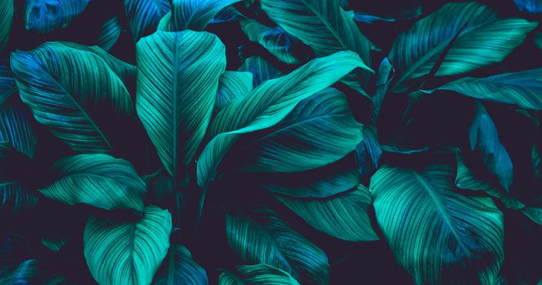 Responding to the different seasons of growth
