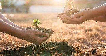 Should your church be revitalized or replanted?