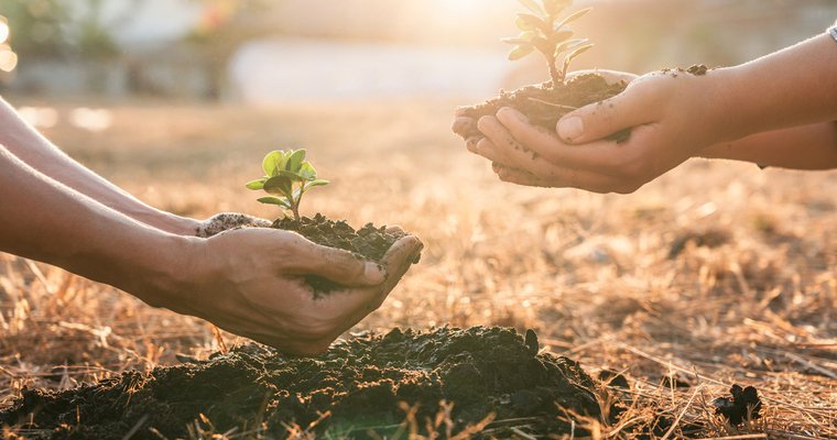 Should your church be revitalized or replanted?